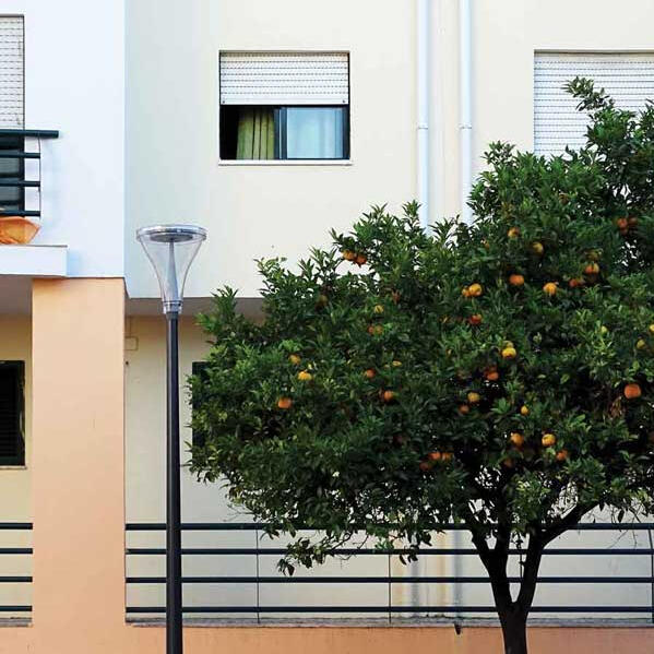 Urban orchard, Lisbon - a rich source of fruit in the city centre, firmly mapped by the Muita Fruita initiative.