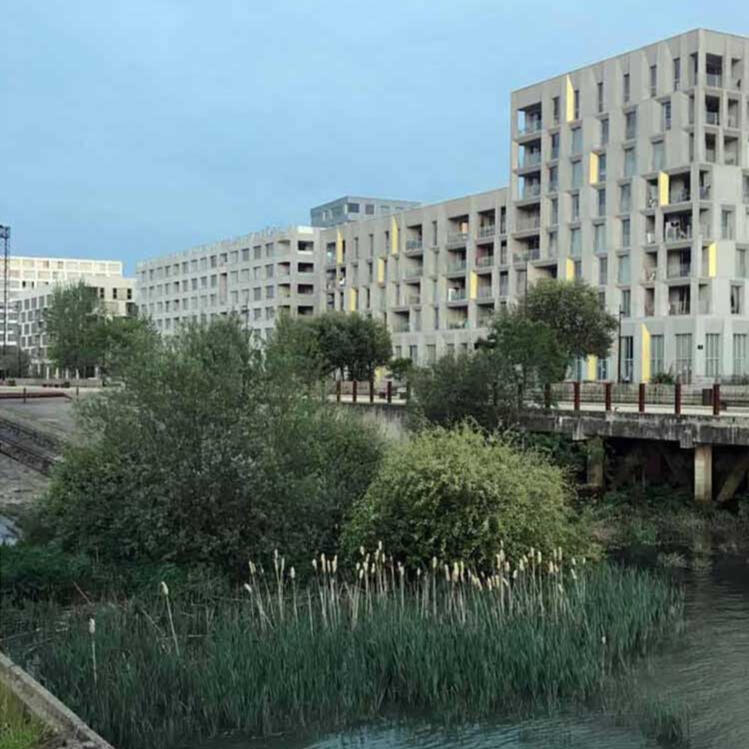 Urban regeneration, Nantes - the gold on the Île de Nantes development echoes the rushes in the biodiverse habitat.